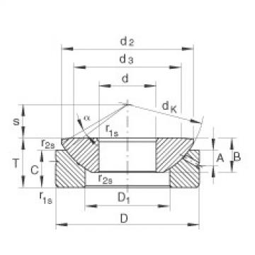 Bearing GE100-AX INA