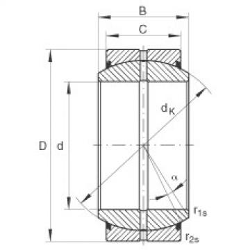 Bearing GE110-DO-2RS INA