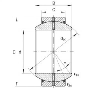 Bearing GE200-FO-2RS INA