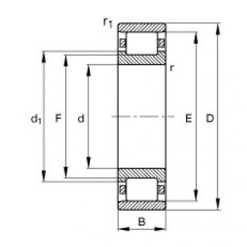 Bearing N222-E-TVP2 FAG