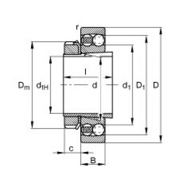 Bearing 2313-K-TVH-C3 + H2313 FAG