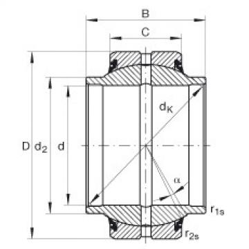 Bearing GE25-HO-2RS INA