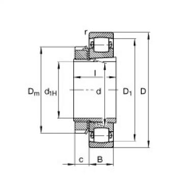 Bearing 20217-K-MB-C3 + H217 FAG