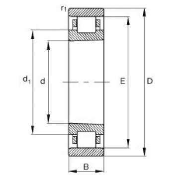 Bearing N1911-K-M1-SP FAG