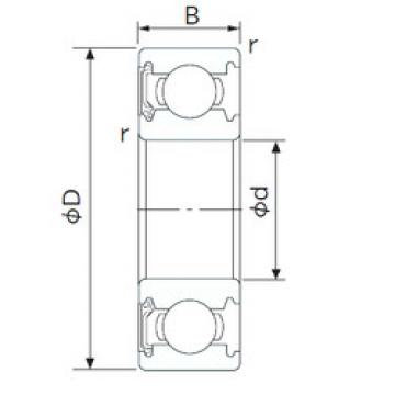 Bearing 1623-RS CYSD