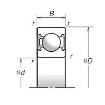 Bearing 6010T1XVV NSK