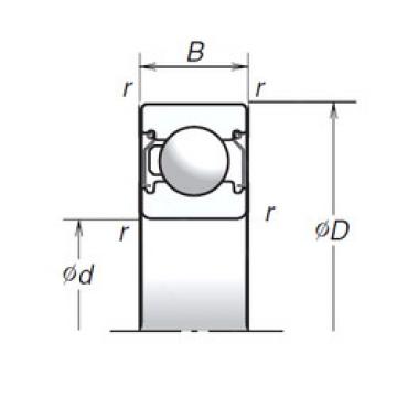 Bearing 6002T1XZZ NSK