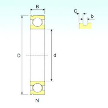 Bearing 6005 N ISB