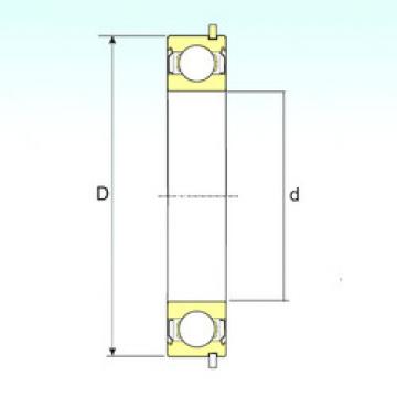 Bearing 6005-ZZNR ISB