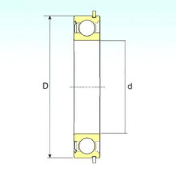 Bearing 6005-ZNR ISB