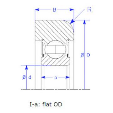 Bearing B25-166 QPSZM NSK