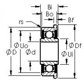 Bearing SFRW166-TT AST