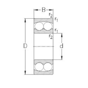 Bearing 1309 NKE