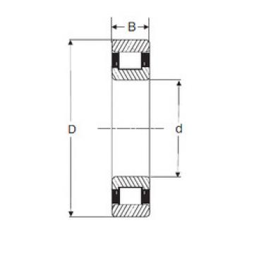 Bearing N 217 SIGMA