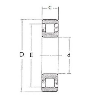 Bearing N1009 FBJ