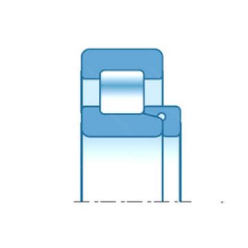 Bearing RNH1017 NTN