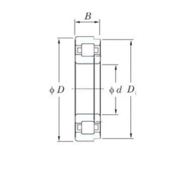 Bearing NUP328R KOYO