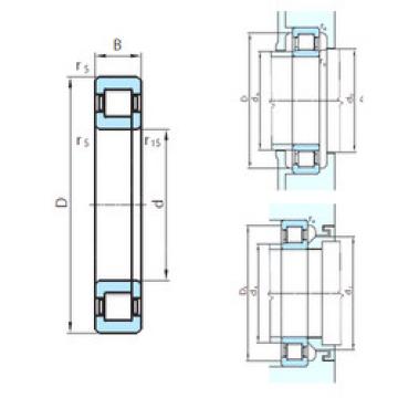 Bearing NUP29/600 PSL