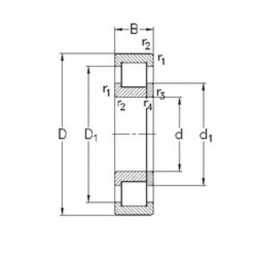 Bearing NUP305-E-TVP3 NKE