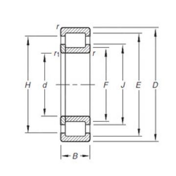 Bearing NUP305E.TVP Timken