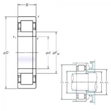 Bearing NUP310EM NSK