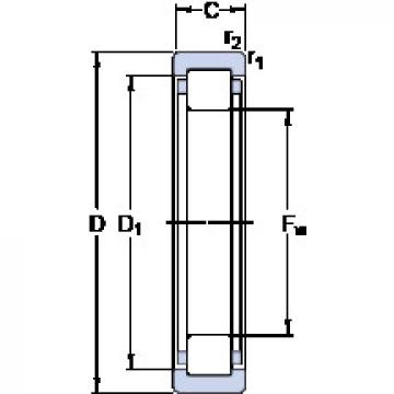 Bearing RNU 206 ECP SKF