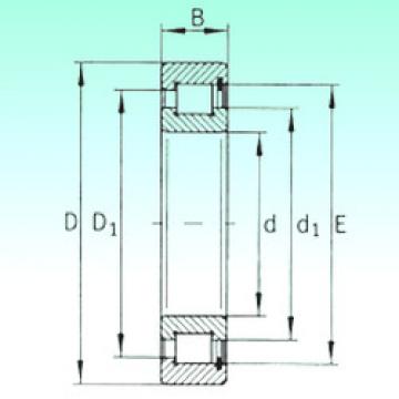 Bearing SL181868 NBS