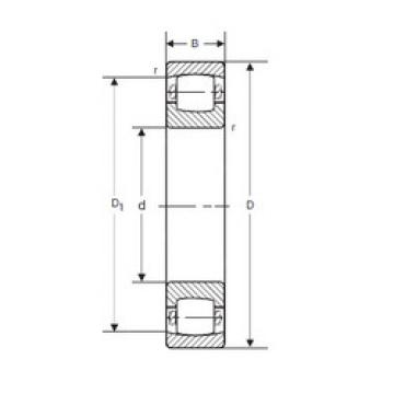 Bearing 20211 K SIGMA