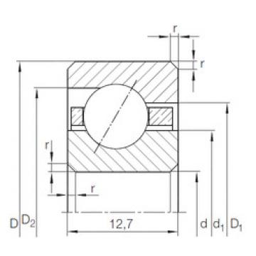 Bearing CSED 1603) INA