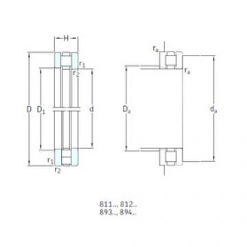 Bearing 81106TN SKF