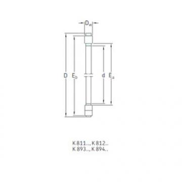 Bearing K81124TN SKF