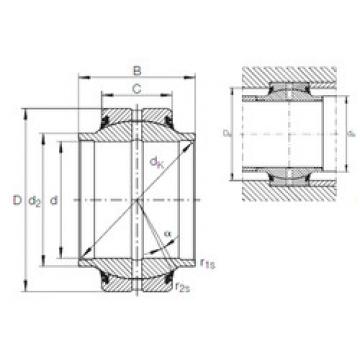 Bearing GE 20 HO-2RS INA