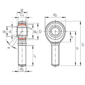 Bearing GAKFL 10 PW INA