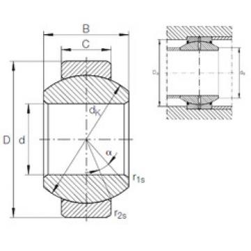 Bearing GE 10 FO INA