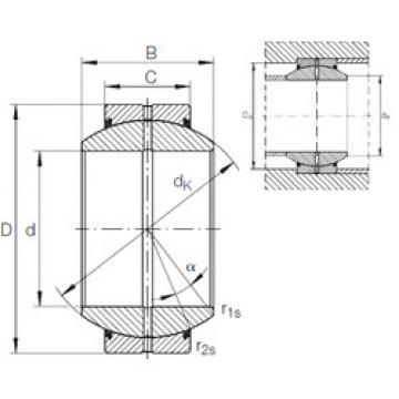 Bearing GE 100 FO-2RS INA