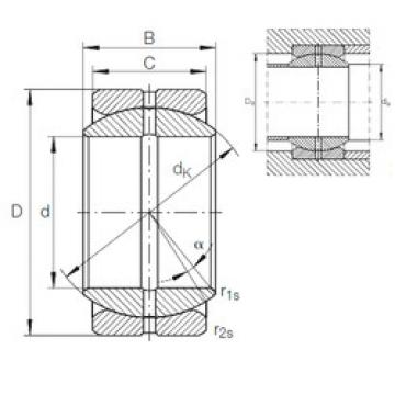 Bearing GE 25 ZO INA