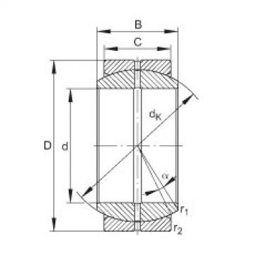 Bearing GE100-DO INA