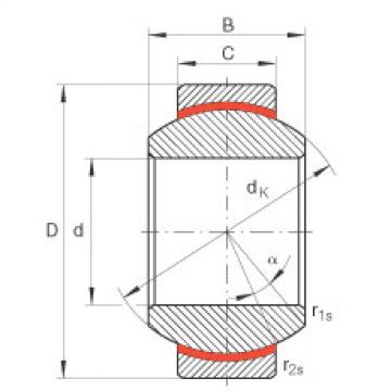 Bearing GE25-FW INA