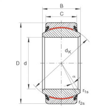 Bearing GE20-UK-2RS INA