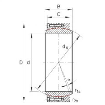 Bearing GE480-DW INA