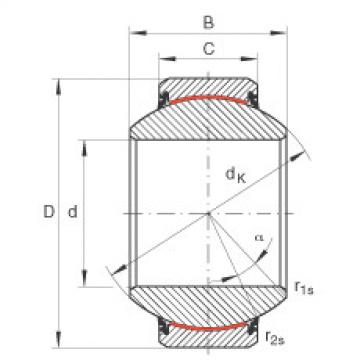 Bearing GE260-FW-2RS INA