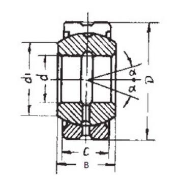 Bearing GE20ES-2RS FBJ