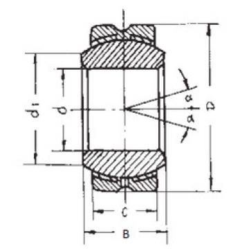 Bearing GEBK20S FBJ