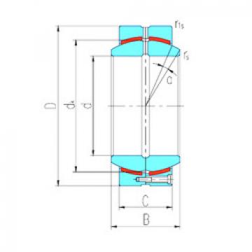 Bearing GEH110HCS LS