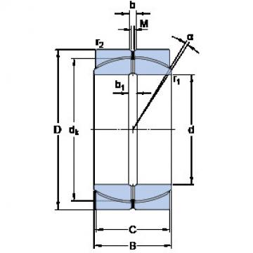 Bearing GEP 120 FS SKF