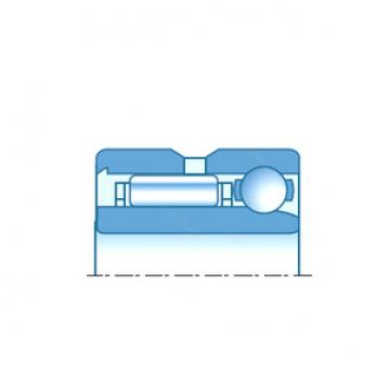 Bearing NKIA5910A NTN
