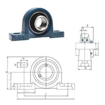 Bearing BLP206-20 FYH