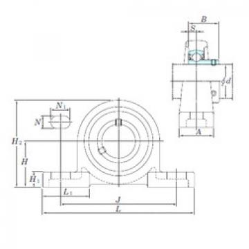 Bearing BLP206-18 KOYO