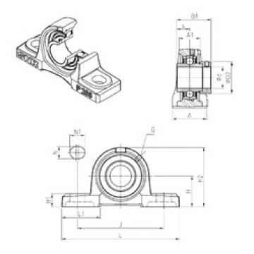 Bearing EXP203 SNR