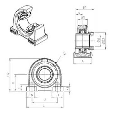 Bearing EXPA203 SNR